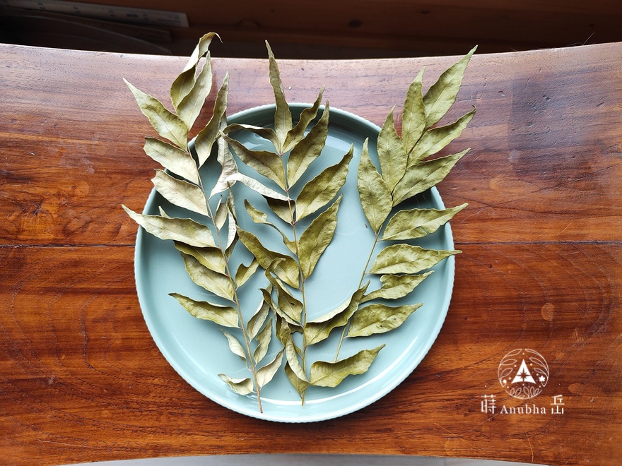 curryleaf5